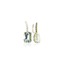 Aqua Climber Earrings